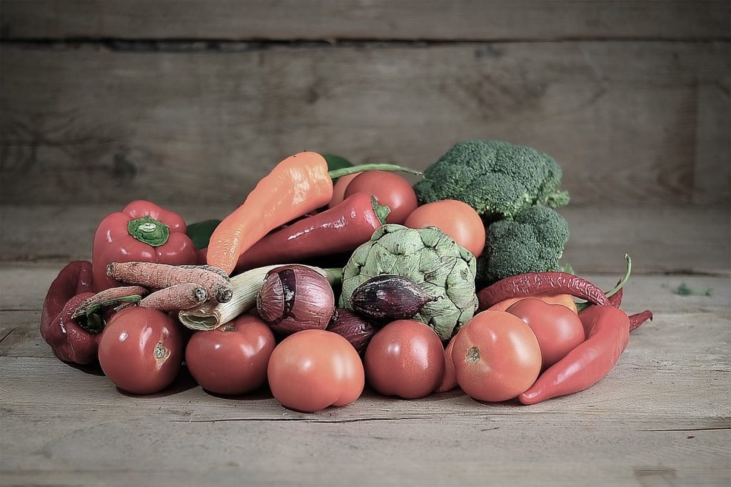 Cultivar brócoli mediante hidroponia
