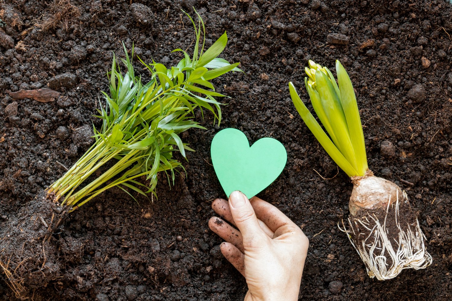 Qué es la Agricultura Orgánica: Beneficios y Principios Básicos - Serena Vianello