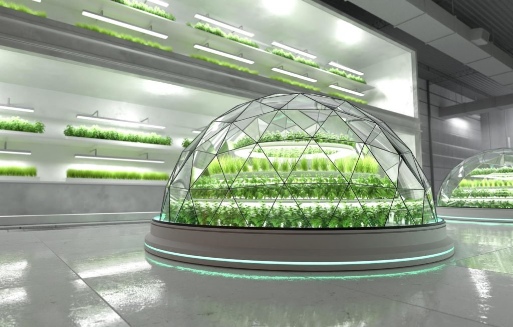 Los Mejores Calefactores para Cultivo: Guía Completa 2023