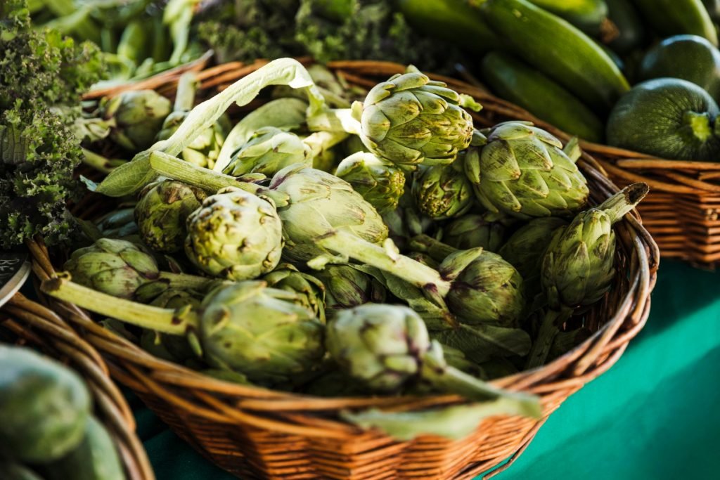 Cómo cultivar alcachofa por hidroponia - Blog de Serena Vianello
