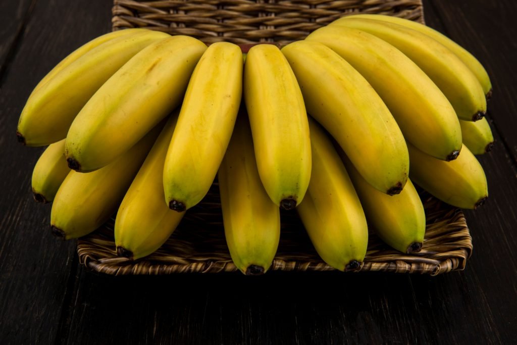 Cómo Cultivar Plátanos Hidropónicos: Guía Completa para Principiantes