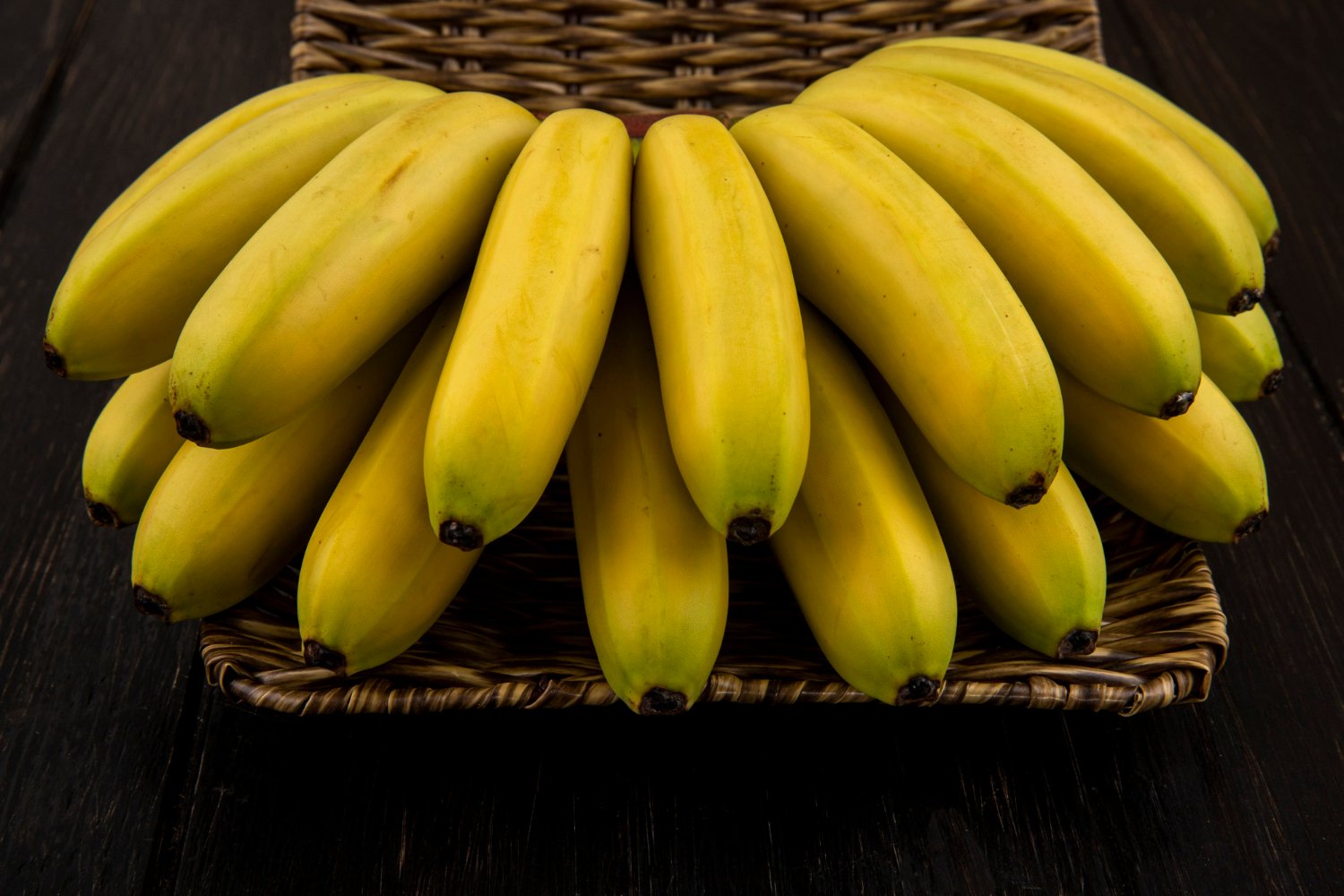 Cómo Cultivar Plátanos Hidropónicos: Guía Completa para Principiantes