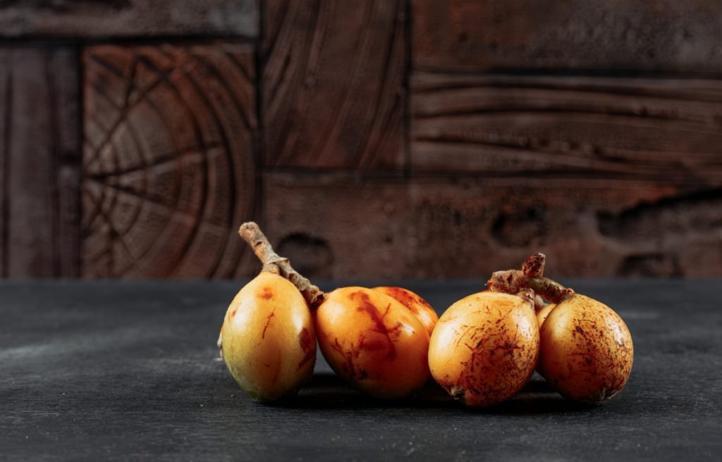 Cómo Cultivar Nísperos en Hidroponía: Guía Completa y Consejos - Serena Vianello