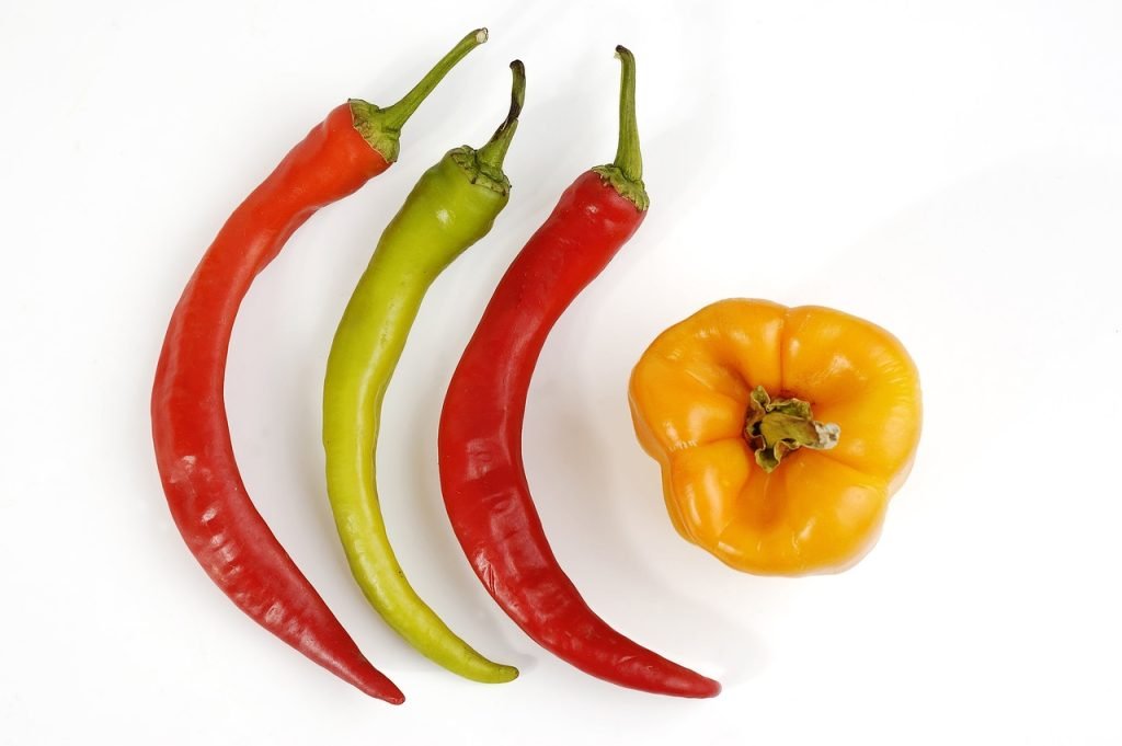 cultivar patatas hidroponia