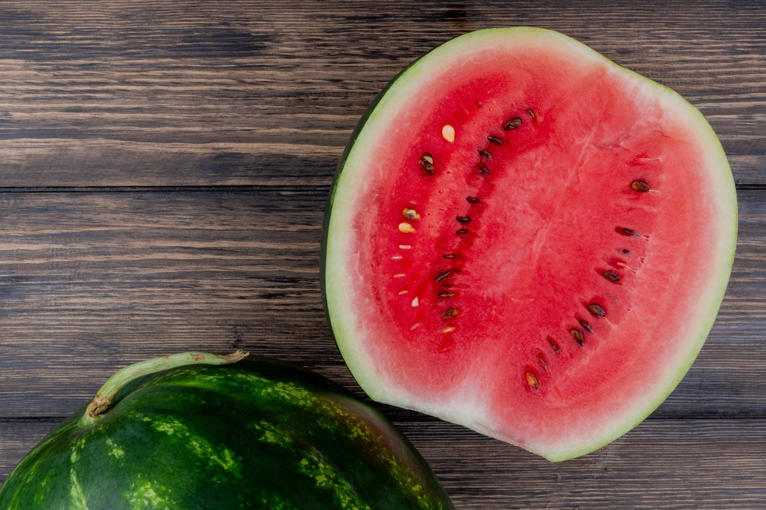cultivar sandia hidroponica serena vianello