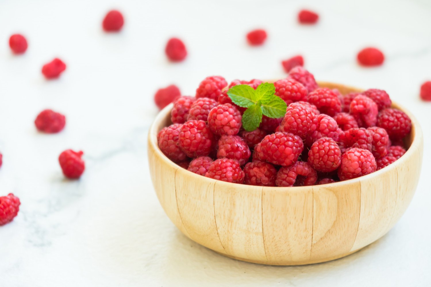 Cultivar frambuesas por hidroponia - Blog de Serena Vianello