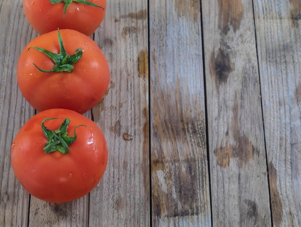 plantar tomates hidroponia