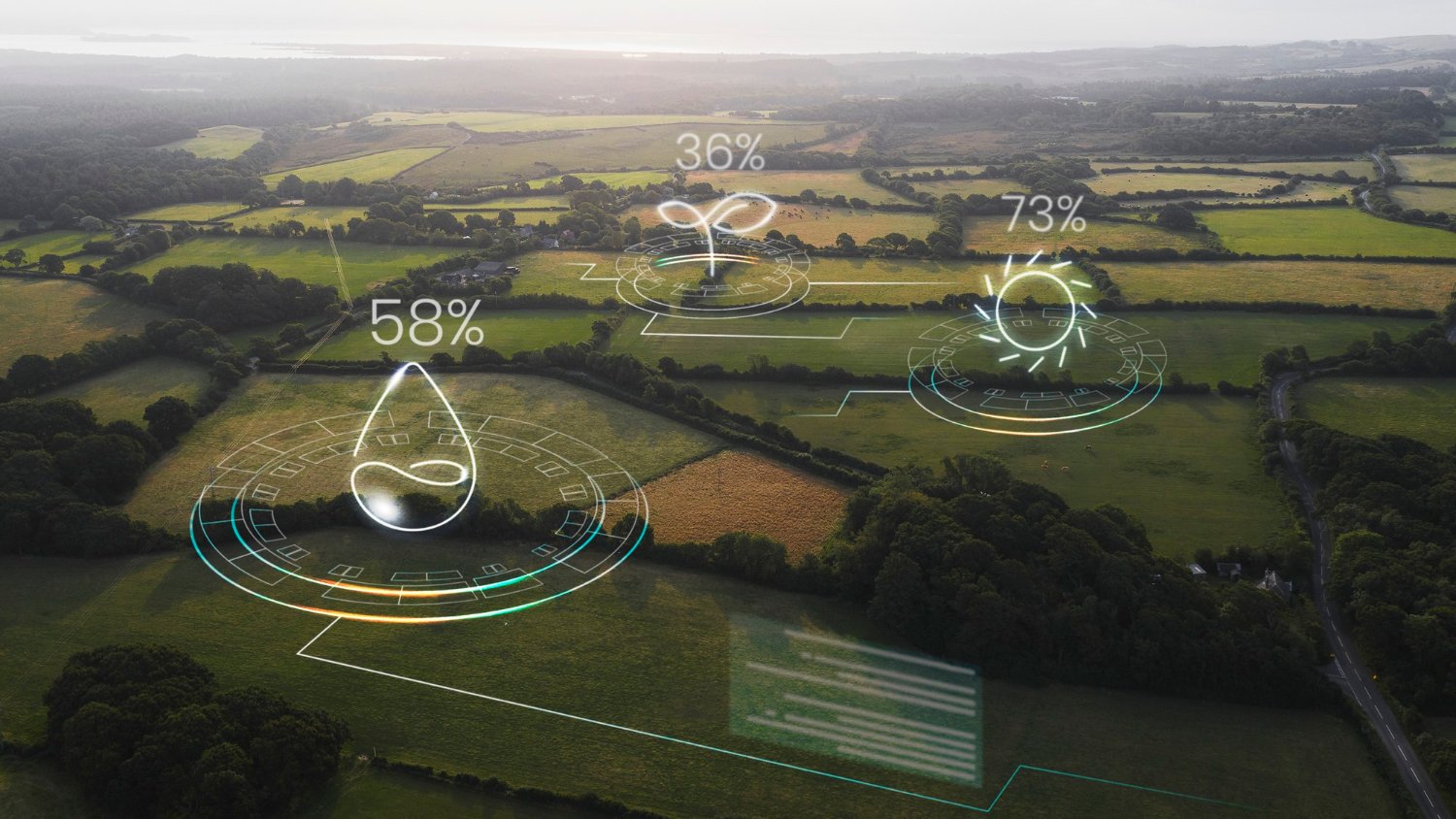 Como implementar un sistema iot en tu cultivo - Serena Vianello